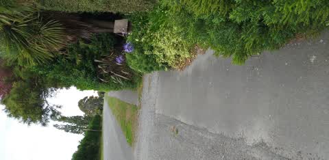 Street Light Outage, a report photo