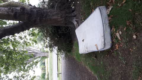 Rubbish/Recycling — a report photo