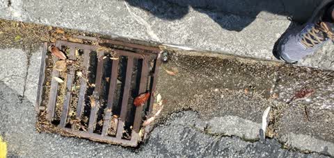 Water Leak, a report photo