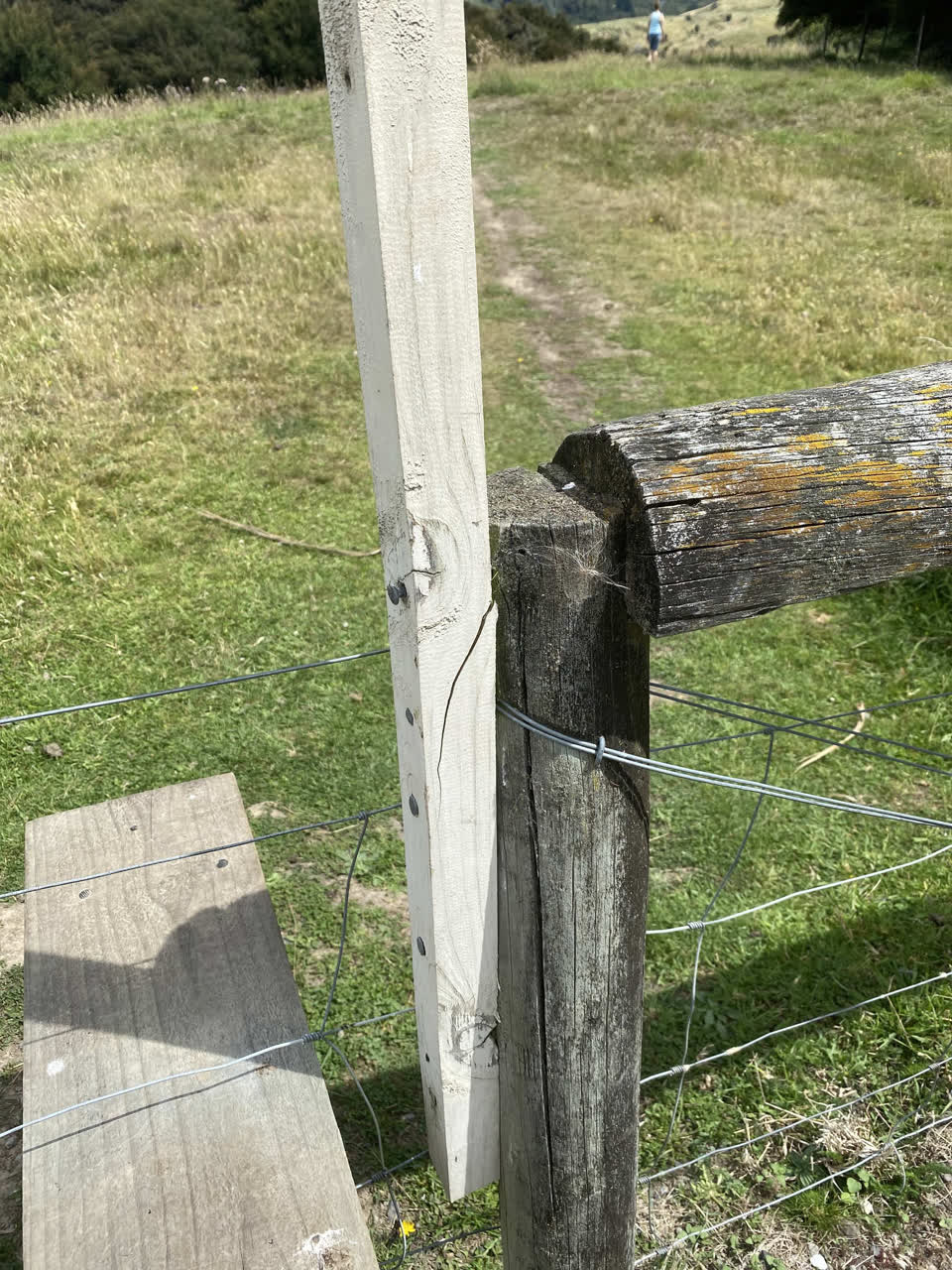 The photograph attached to this parks report