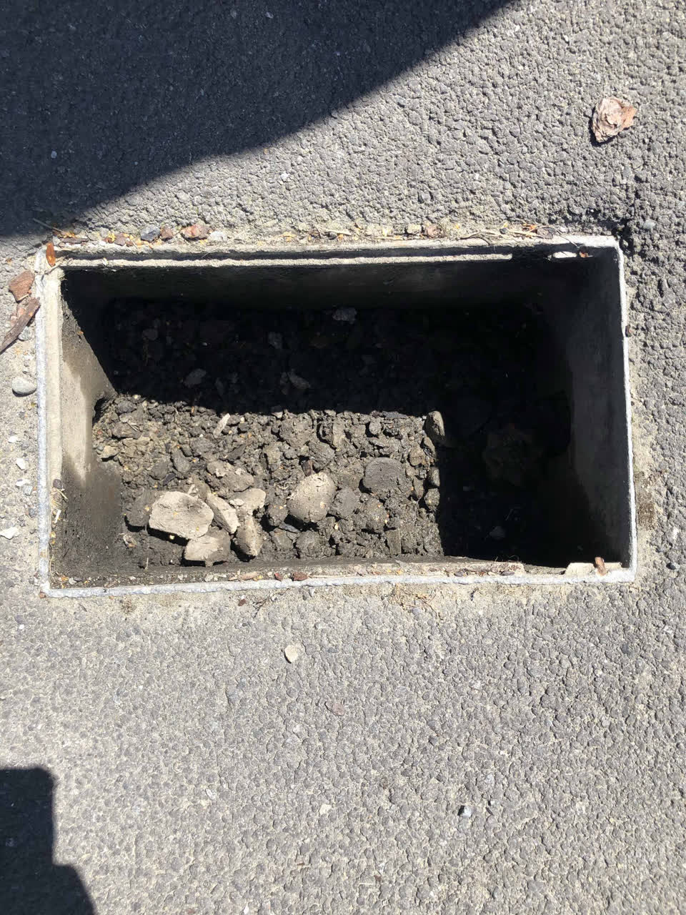 The photograph attached to this street light outage report