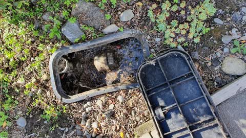 Water Leak, a report photo