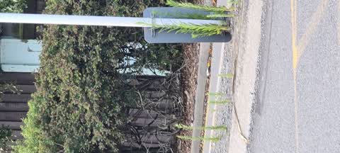 Roading/Streets, a report photo