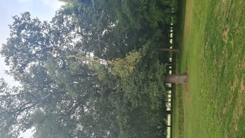 Parks, a report photo