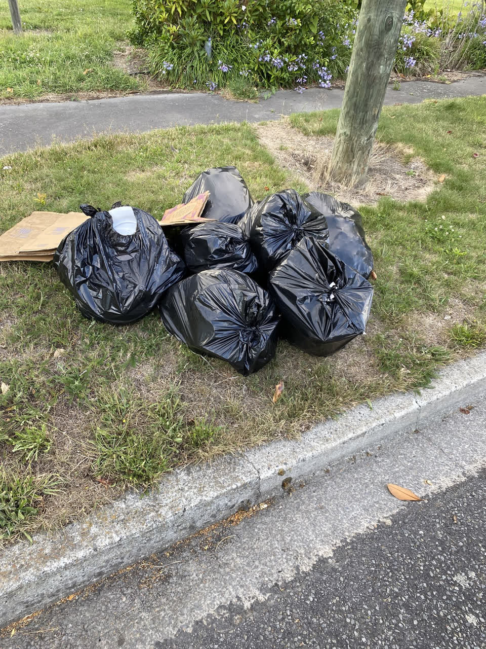 The photograph attached to this rubbish/recycling report