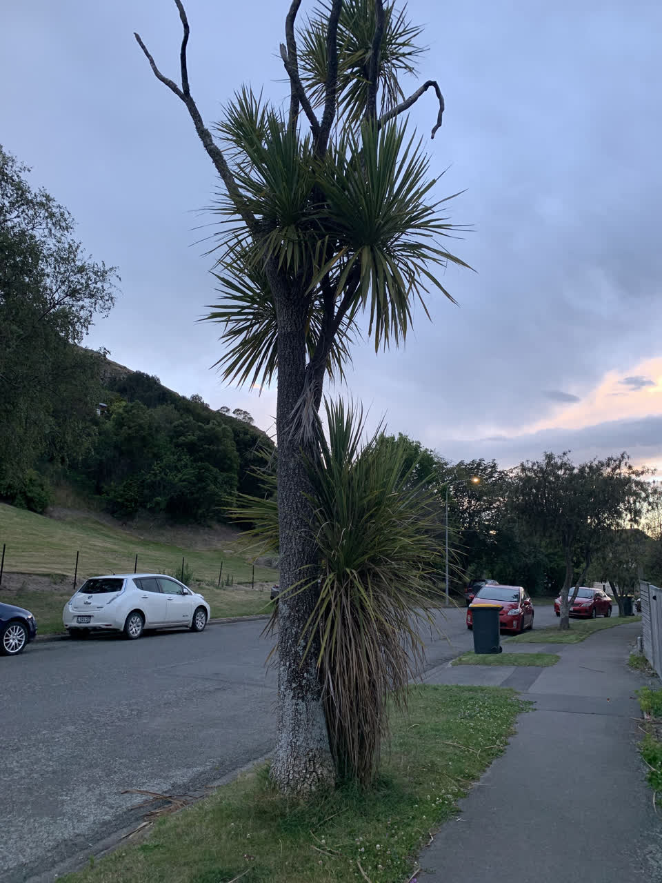 The photograph attached to this street light outage report