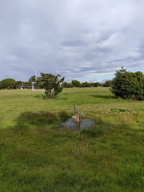 Water Supply, a report photo