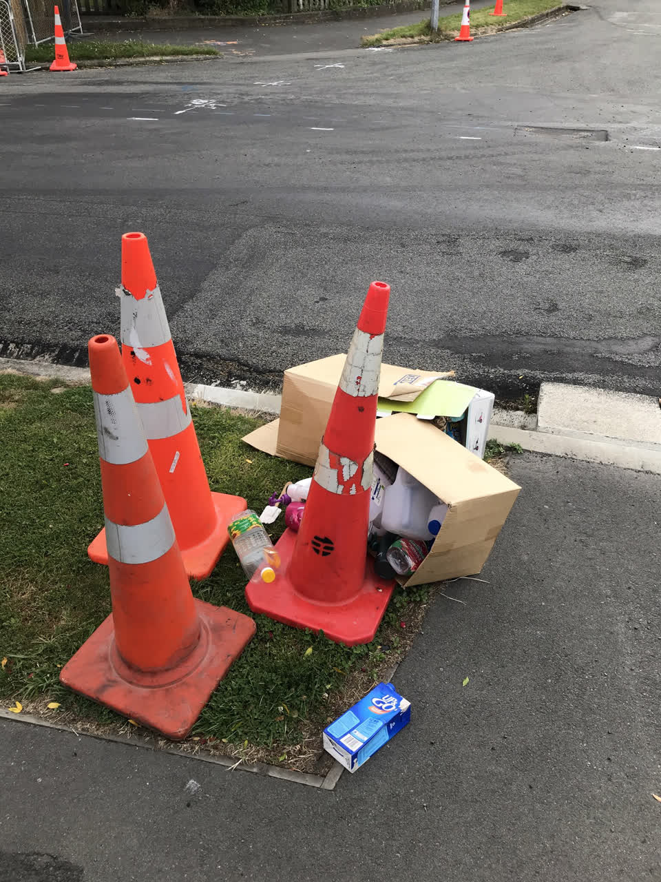 The photograph attached to this rubbish/recycling report