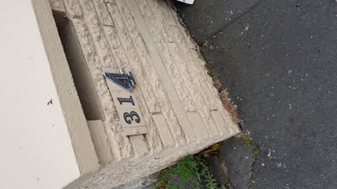 Water Leak, a report photo
