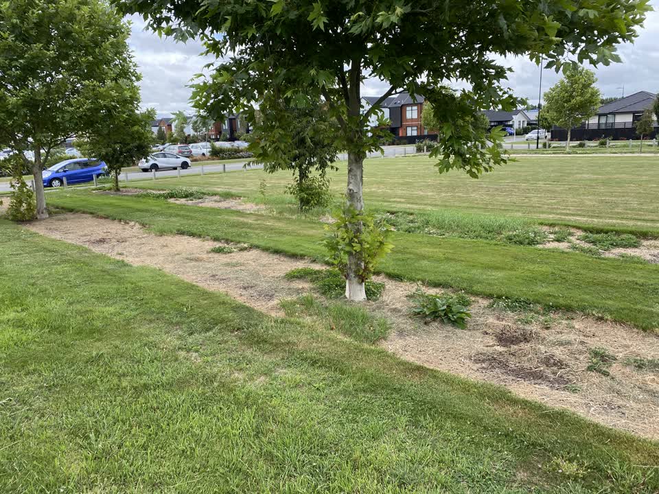 The photograph attached to this parks report