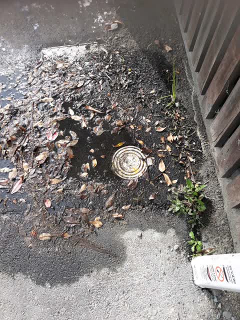 Water Leak, a report photo