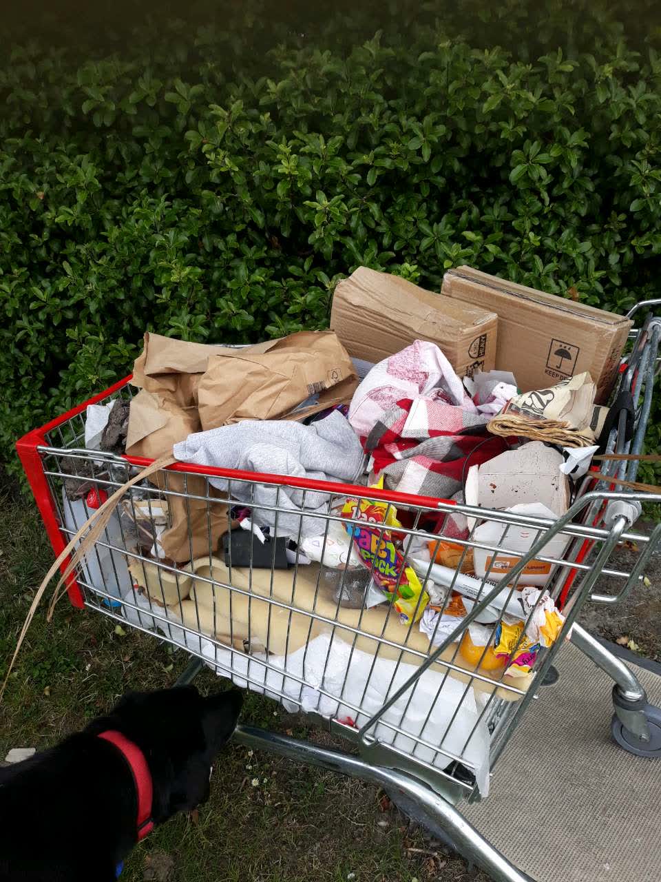 The photograph attached to this rubbish/recycling report