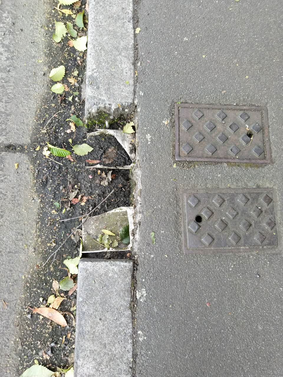 The photograph attached to this street light outage report