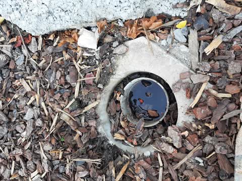 Water Leak, a report photo