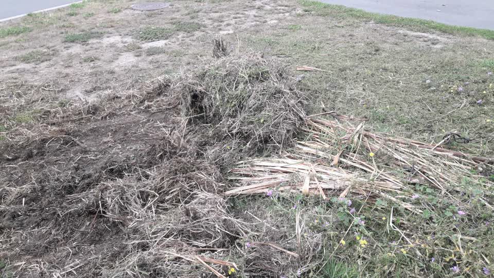 The photograph attached to this parks report