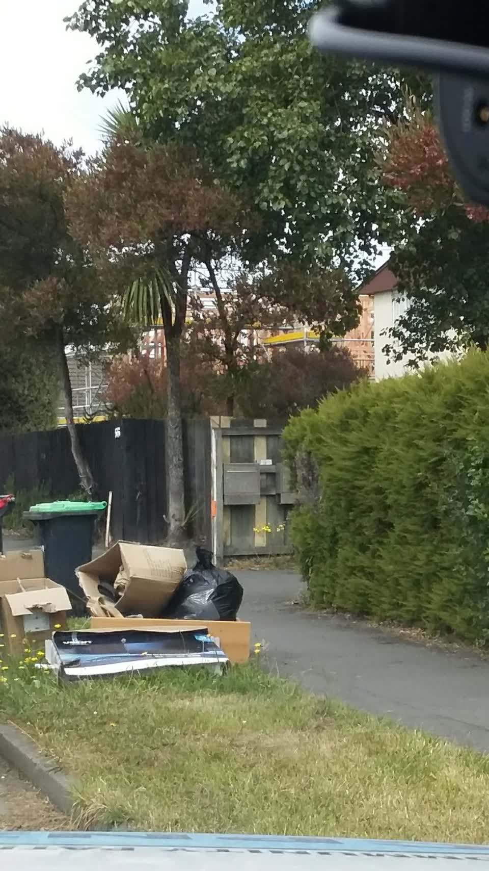 The photograph attached to this rubbish/recycling report