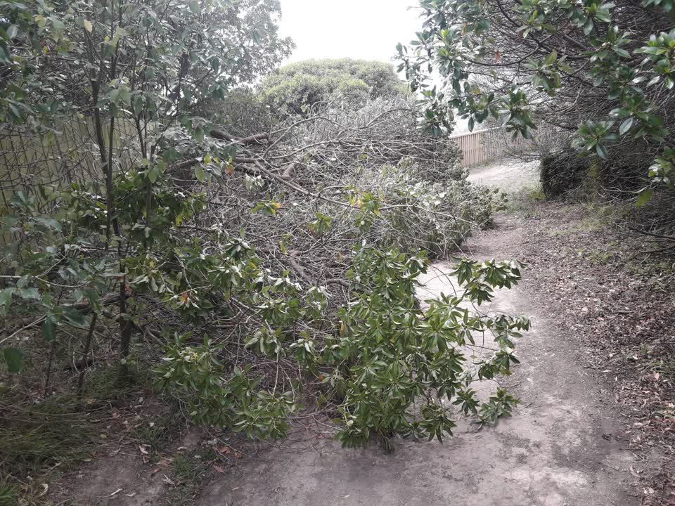 The photograph attached to this parks report