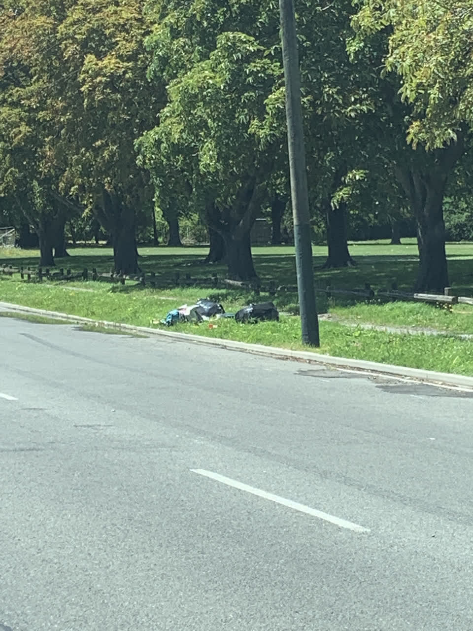 The photograph attached to this parks report