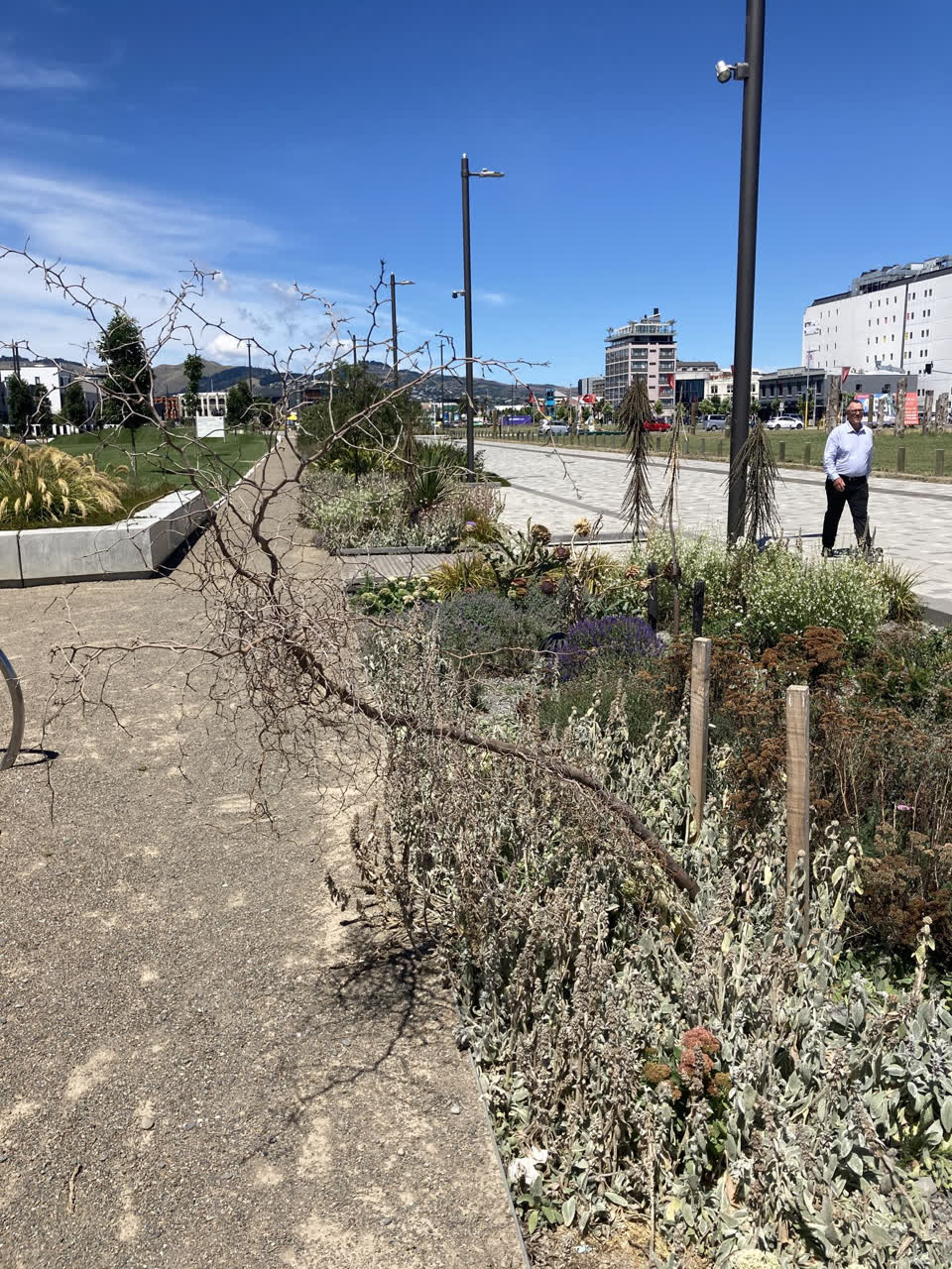 The photograph attached to this parks report