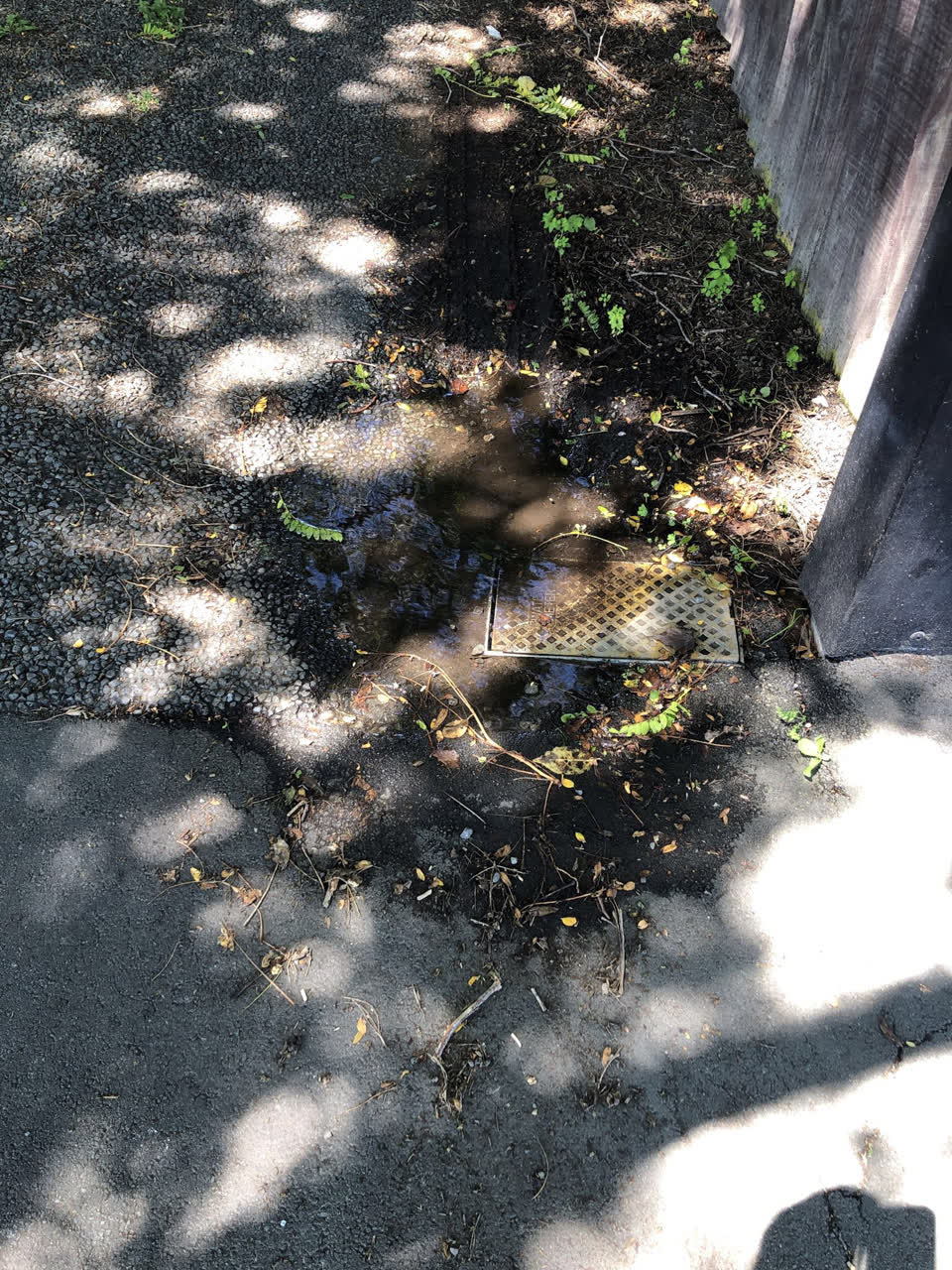 The photograph attached to this sewer - leak / blockage report