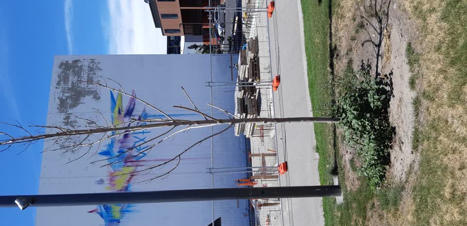 The photograph attached to this parks report