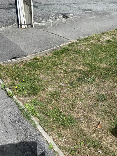 Roading/Streets, a report photo