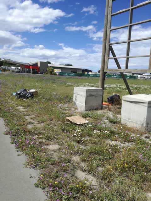 Rubbish/Recycling, a report photo
