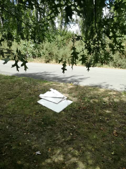 Rubbish/Recycling, a report photo