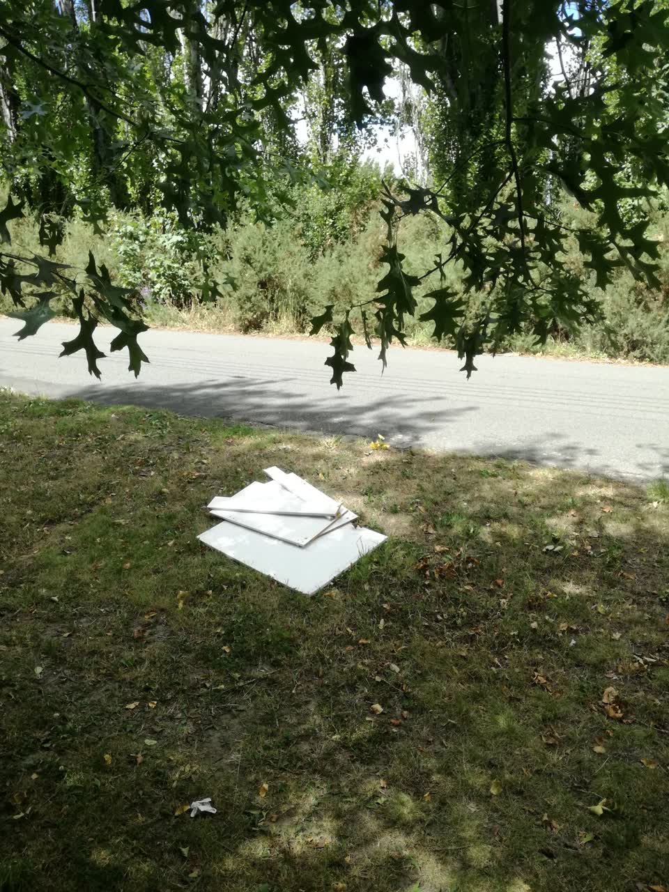 The photograph attached to this rubbish/recycling report