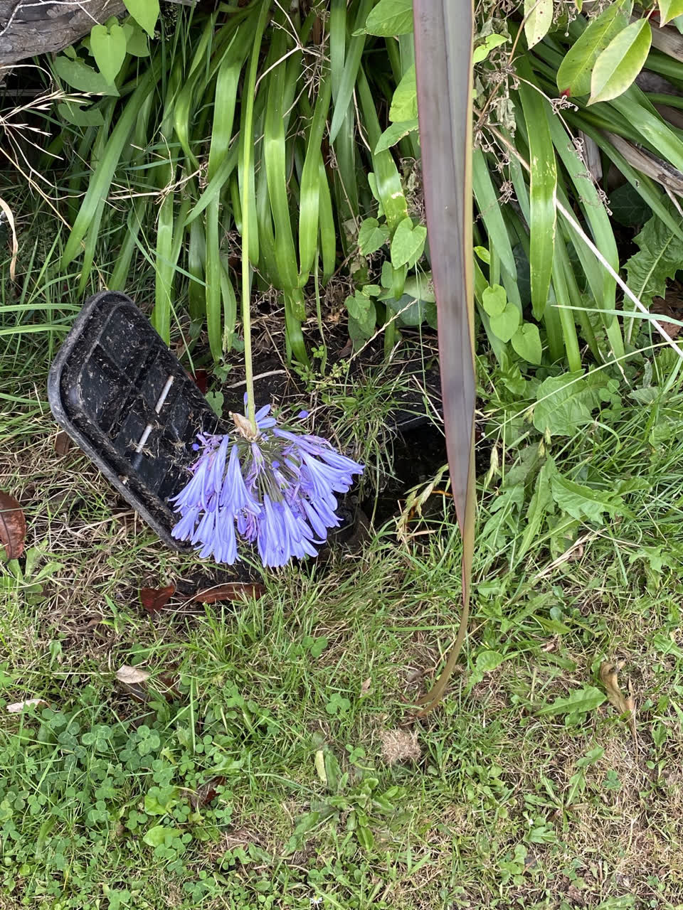 The photograph attached to this water leak report