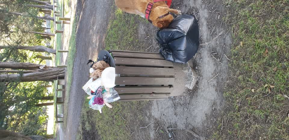 The photograph attached to this rubbish/recycling report