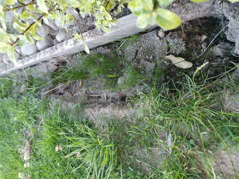 Parks, a report photo