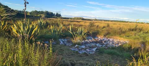 Rubbish/Recycling, a report photo