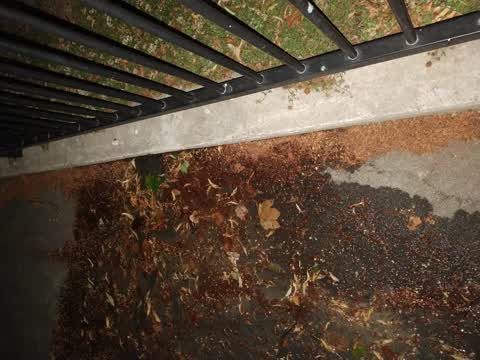 Water Leak, a report photo