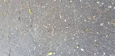 Roading/Streets, a report photo