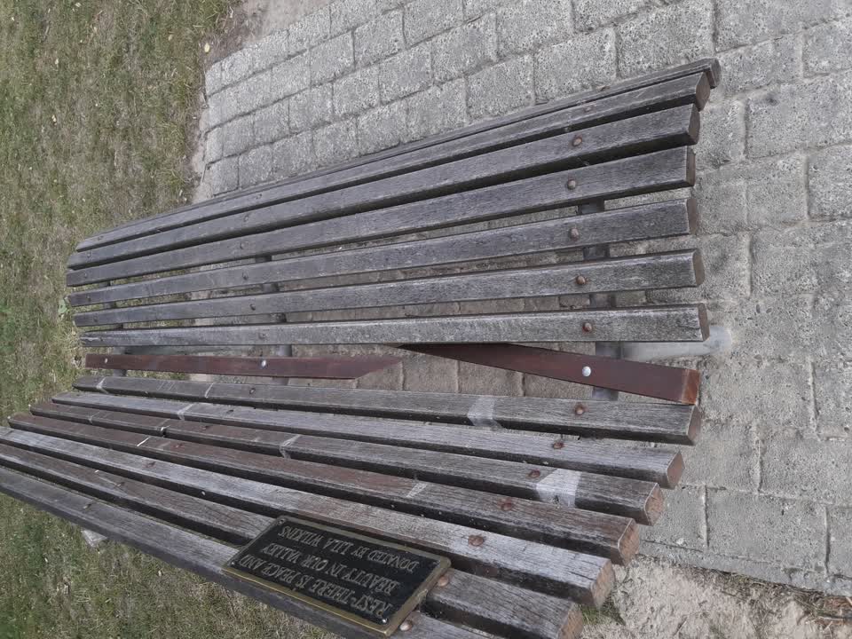 The photograph attached to this parks report