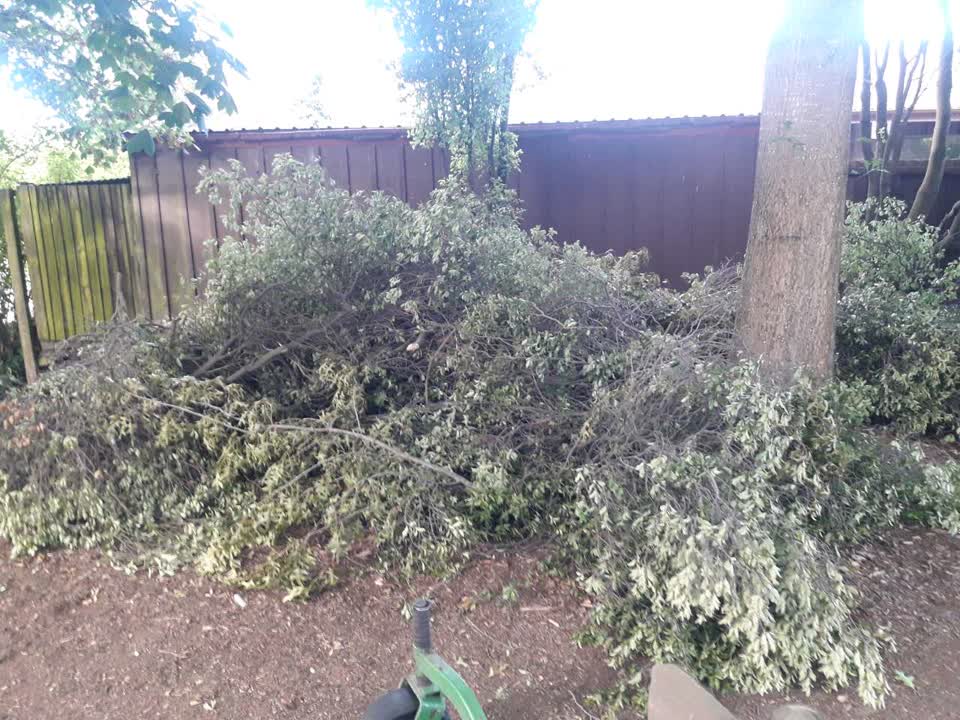The photograph attached to this parks report