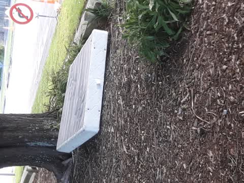 Parks, a report photo