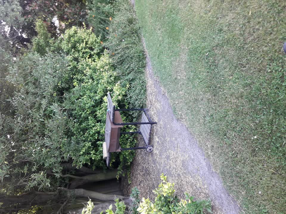 The photograph attached to this parks report