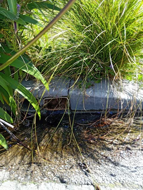 Wastewater/Stormwater, a report photo