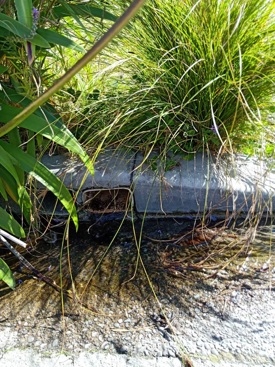 The photograph attached to this wastewater/stormwater report