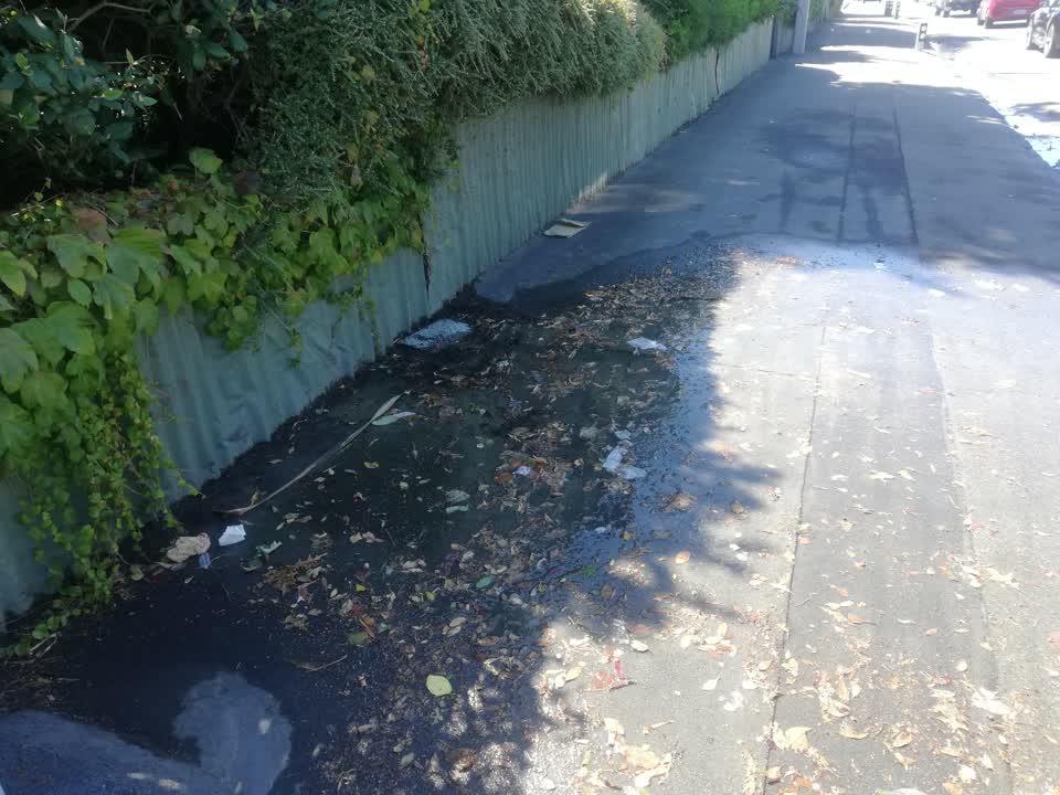 The photograph attached to this flooding report