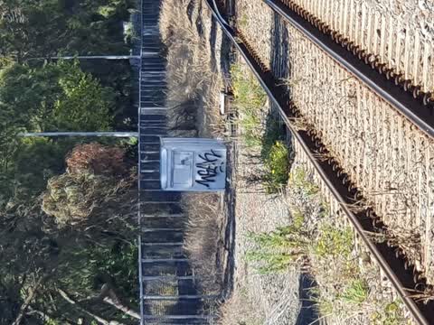 Graffiti — a report photo