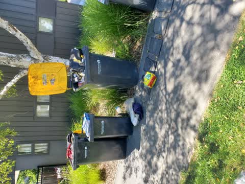Rubbish/Recycling — a report photo