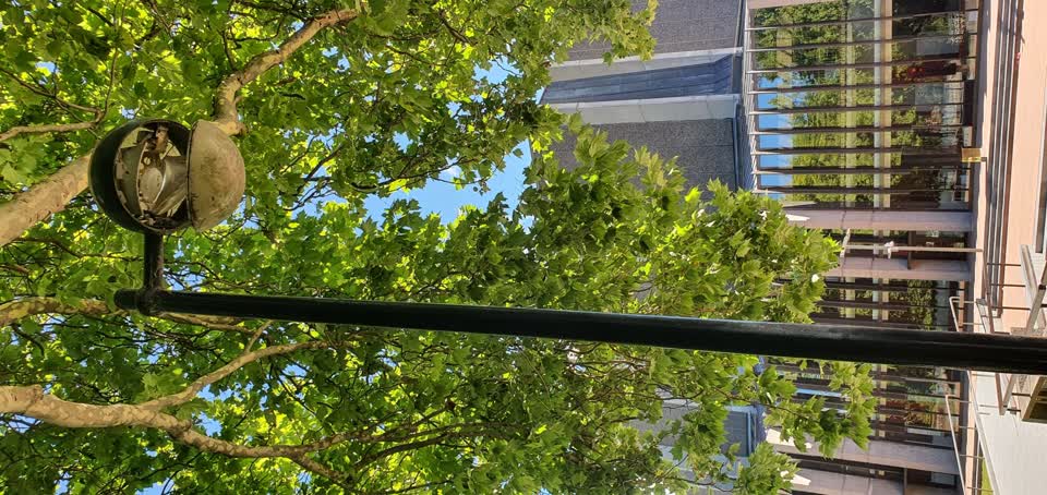 The photograph attached to this street light outage report
