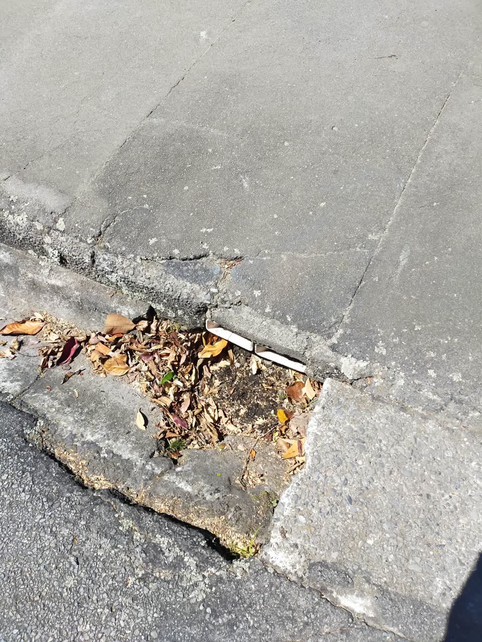 The photograph attached to this roading/streets report