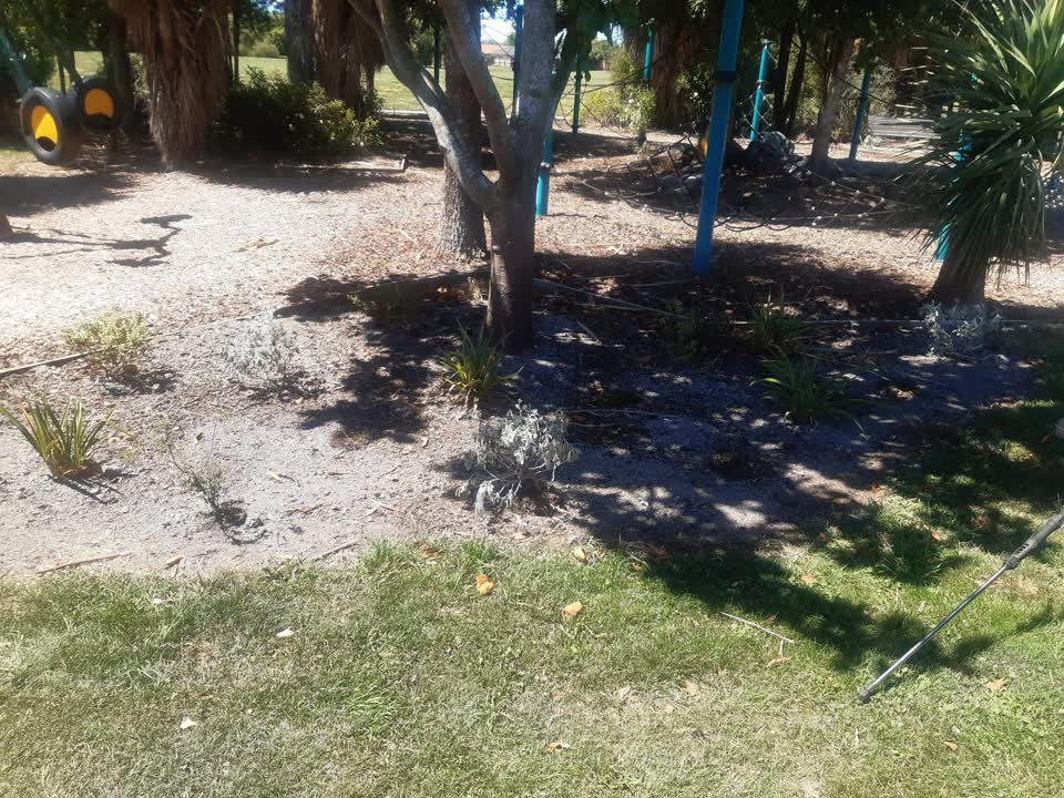The photograph attached to this parks report