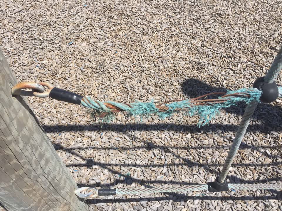 The photograph attached to this parks report