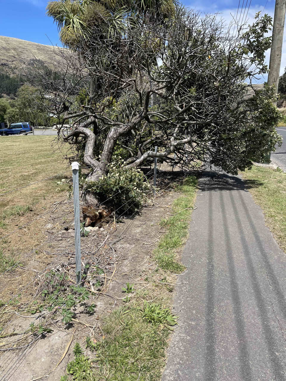 The photograph attached to this parks report