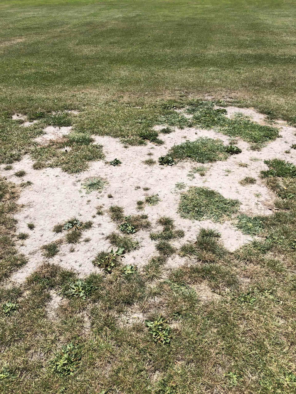 The photograph attached to this parks report